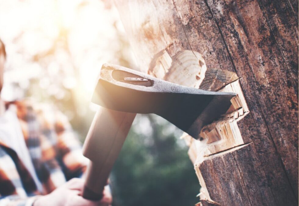 Close-up of an axe striking a tree, symbolizing the difference between scattered marketing activity and focused strategy.